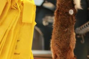 Marché de l’Olive La Chapelle