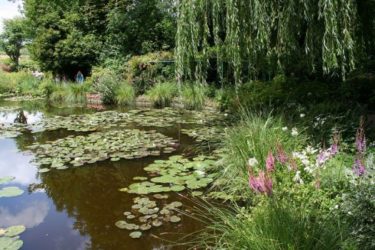 Japanese Gardens: An oasis of order and calm