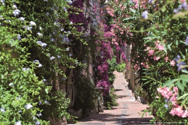 IMAGE: View looking down small flower-covered street in Antibes (Photo © F. Trotobas)